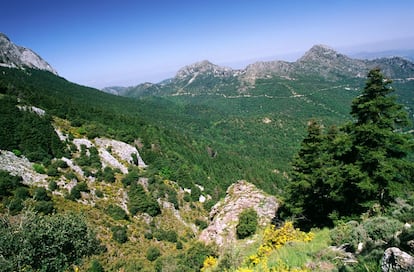 Imagen del Parque Natural de la Sierra de Grazalema, en cuyas inmediaciones está enclavado Alcalá del Valle.