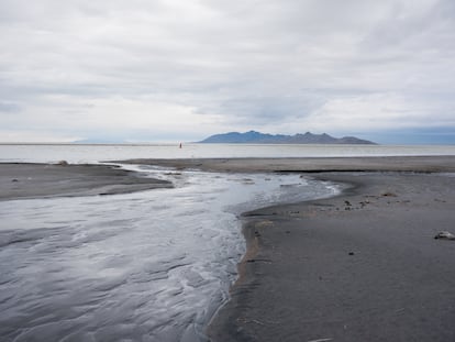 Es posible andar kilómetros por el barro y la arena, donde antes había agua.
