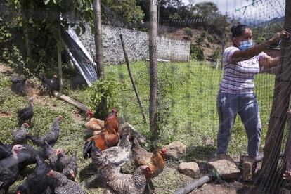 Andri Zuleny Pegui, en los terrenos del NAR de Mandiva, en el norte del Cauca. Ella es presidenta de la cooperativa formada por excombatientes Comamce, y ha decidido irse con sus compañeros tras ser amenazada.