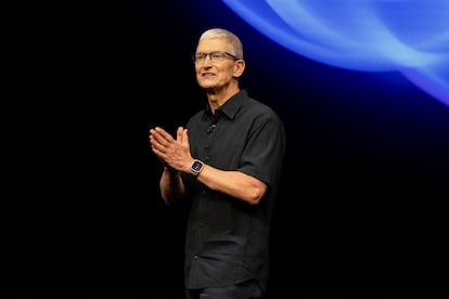 Apple CEO Tim Cook