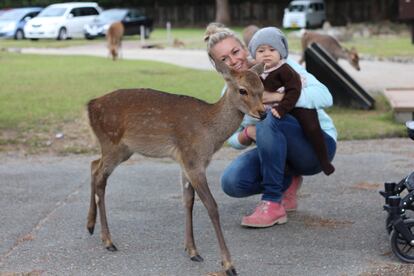 Ciervos en un parque en la ciudad de Nara (Japón). 