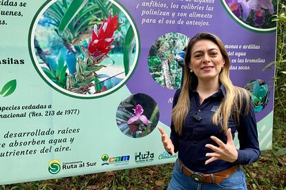 Dianny Albornoz