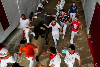 Un astado de la ganadería Miura a su paso por el callejón de la plaza de toros de Pamplona, este domingo. 