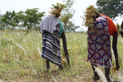 Aunque más del 80% de la población de Burkina Faso se dedica a la agricultura, el escaso rendimiento de la actividad, la falta de inversión y la violencia obliga a muchas personas a huir y dejar las cosechas a medias. Además, las consecuencias del cambio climático ha implicado una subida de precios que hace que la gente no pueda recibir la alimentación que necesita.