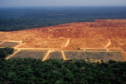 Foto de archivo de la Amazonia brasileña.
