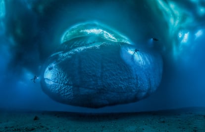 Una foto única de Ballesta, un iceberg completo visto desde el fondo del océano.